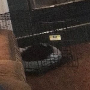 Meet your Posher, Barry